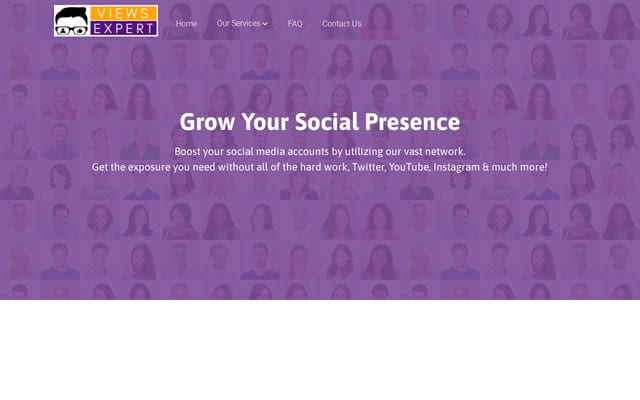 Screenshot of viewsexpert.com