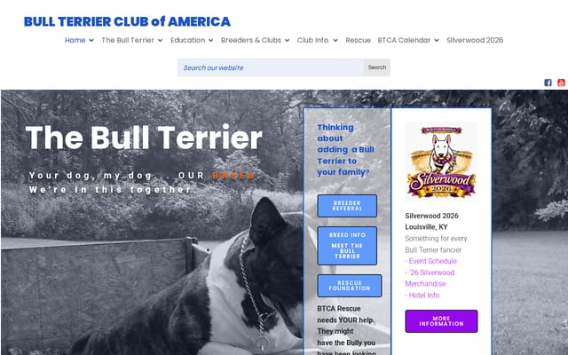 Screenshot of btca.com