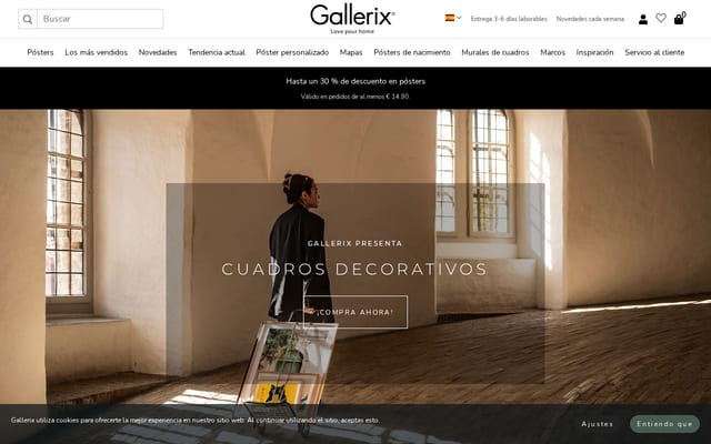 Screenshot of gallerix.es