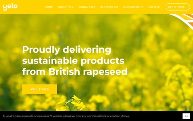 Screenshot of yelo.com