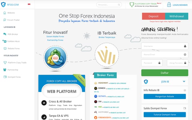 Screenshot of rfsid.com