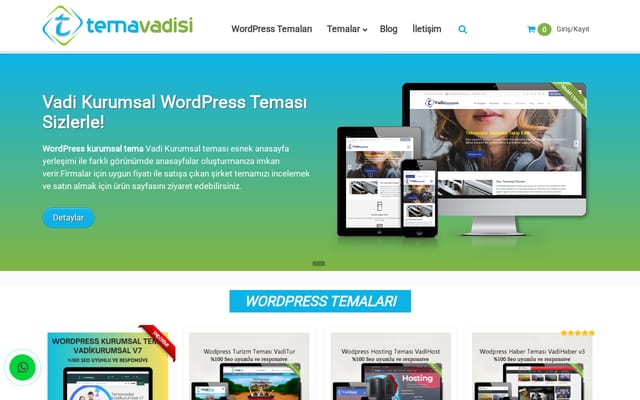 Screenshot of temavadisi.com