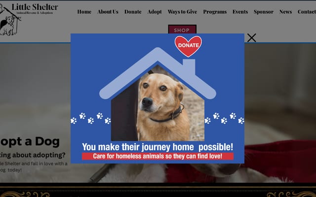 Screenshot of littleshelter.org