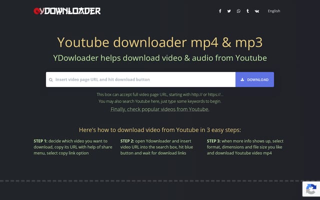 Screenshot of ydownloader.cc
