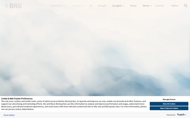 Screenshot of thinkbrg.com