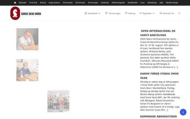 Screenshot of skak.dk