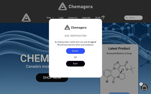 Screenshot of chemagora.ca