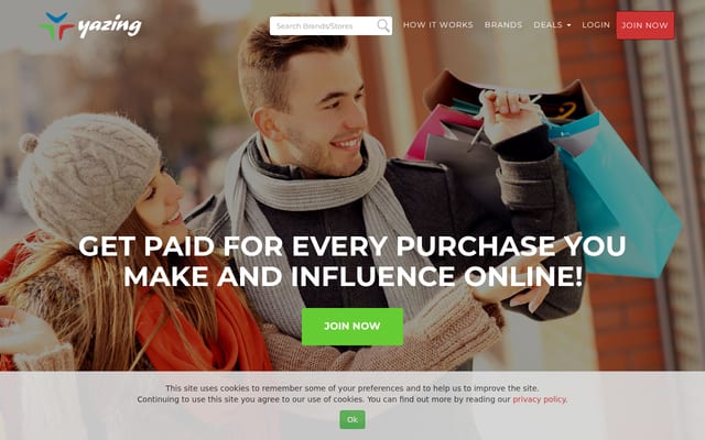 Screenshot of yazing.com