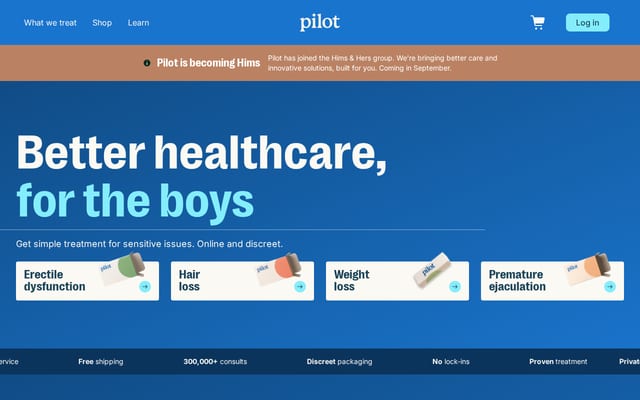 Screenshot of pilot.com.au