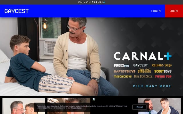 Screenshot of gaycest.com