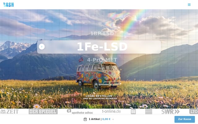 Screenshot of 1slsd.de