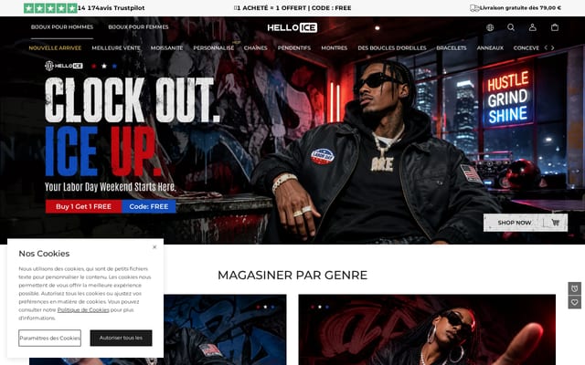 Screenshot of helloice.com
