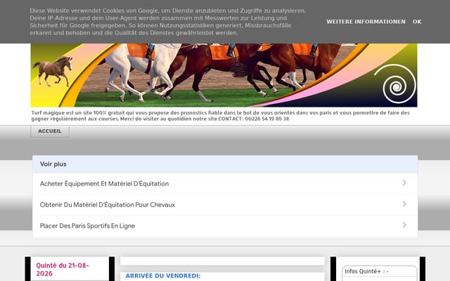 Screenshot of turfmagique.blogspot.com