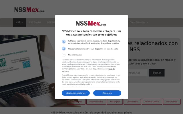 Screenshot of nss-mexico.com