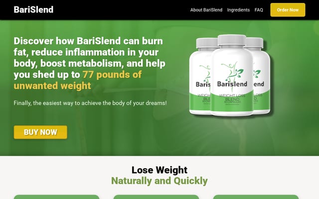 Screenshot of barislend.com