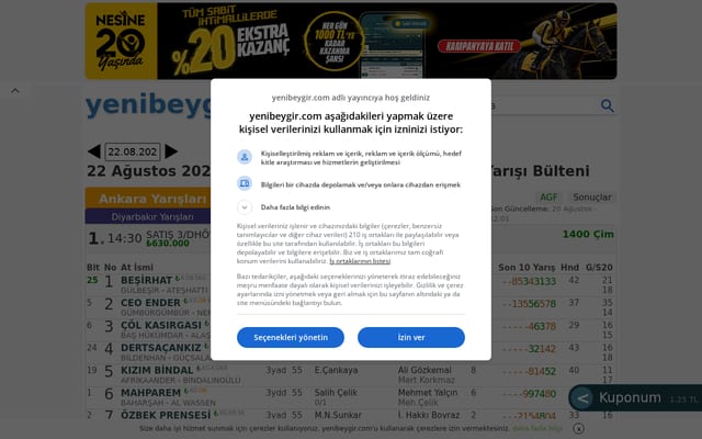 Screenshot of yenibeygir.com