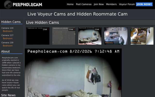 Screenshot of peepholecam.com