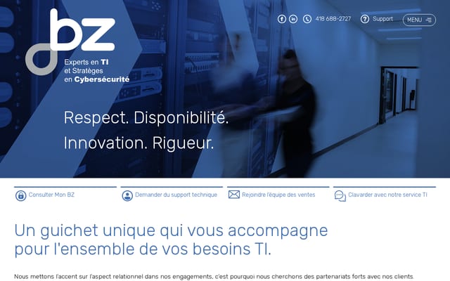 Screenshot of bzinc.ca