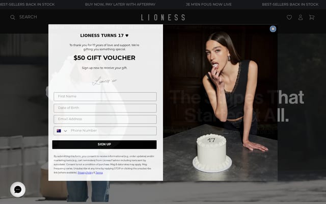 Screenshot of lionessfashion.com