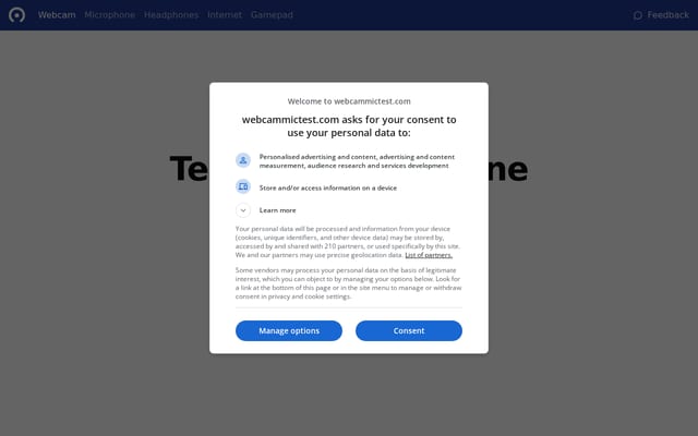 Screenshot of webcammictest.com