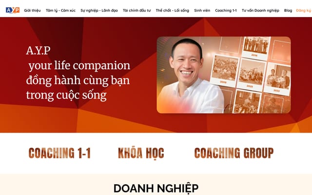 Screenshot of ayp.vn