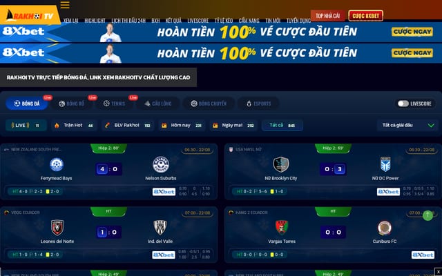 Screenshot of rakhoiz.net