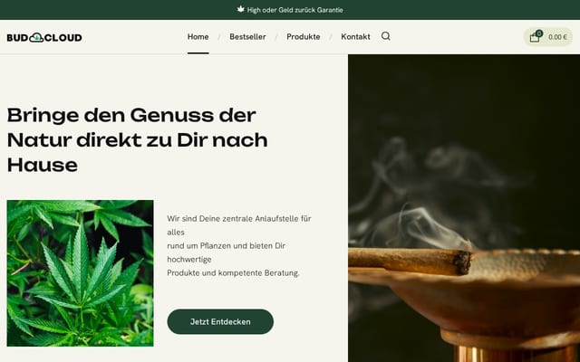 Screenshot of budcloud.de