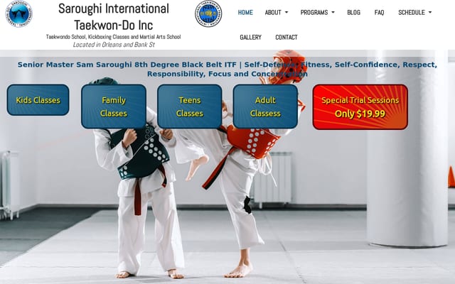 Screenshot of saroughi.ca