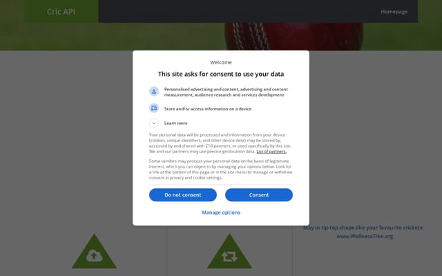 Screenshot of cricapi.com
