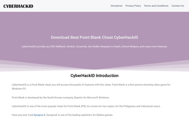 Screenshot of cyberhackid.com