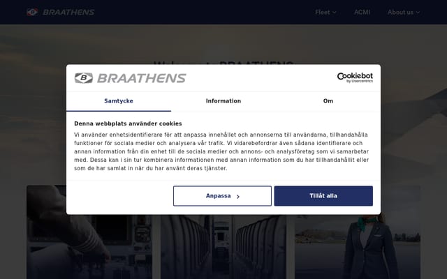 Screenshot of flygbra.se