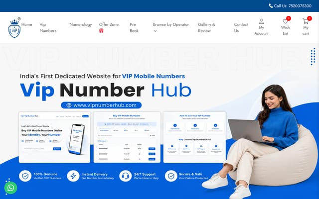 Screenshot of vipnumberhub.com