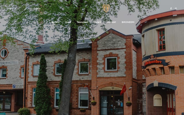 Screenshot of aleksandri.ee