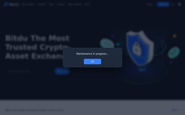 Screenshot of bitdu.com