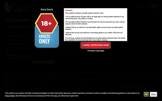 Screenshot of karadavis.com