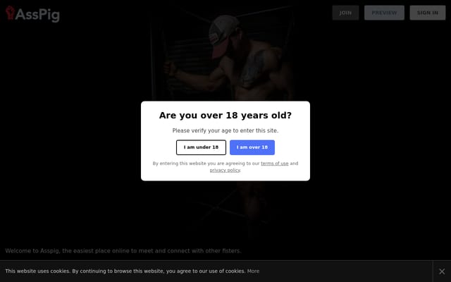 Screenshot of asspig.com