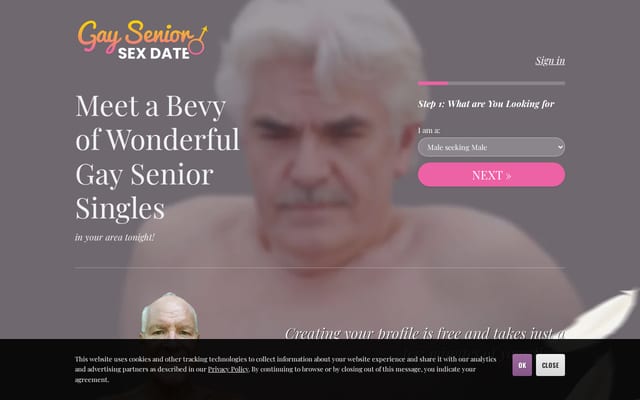 Screenshot of gayseniorsexdate.com