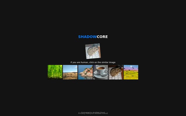Screenshot of shadowcore.ru