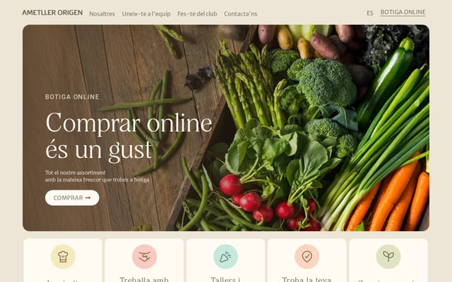 Screenshot of ametllerorigen.com