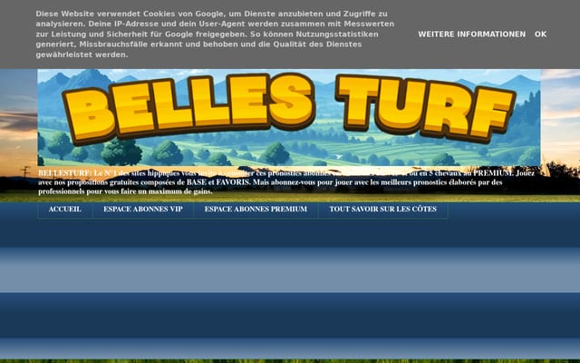 Screenshot of bellesturf.net