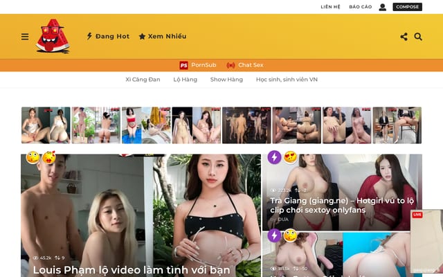 Screenshot of duavn.net