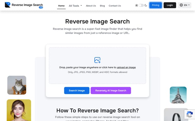 Screenshot of reverseimagesearch.org