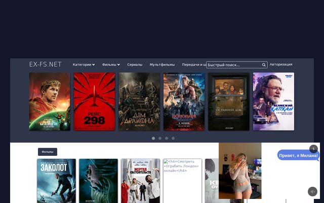 Screenshot of ex-fs.net