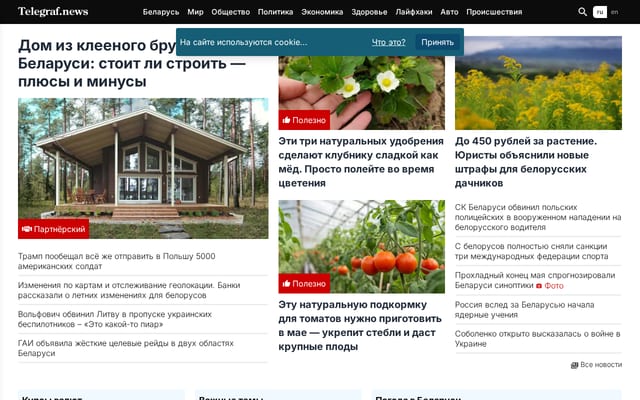 Screenshot of telegraf.by