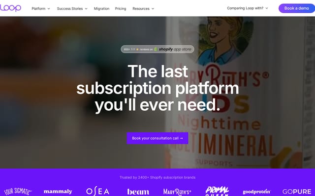 Screenshot of loopwork.co
