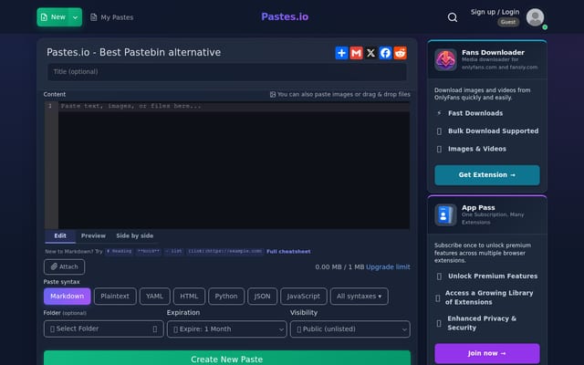 Screenshot of pastes.io