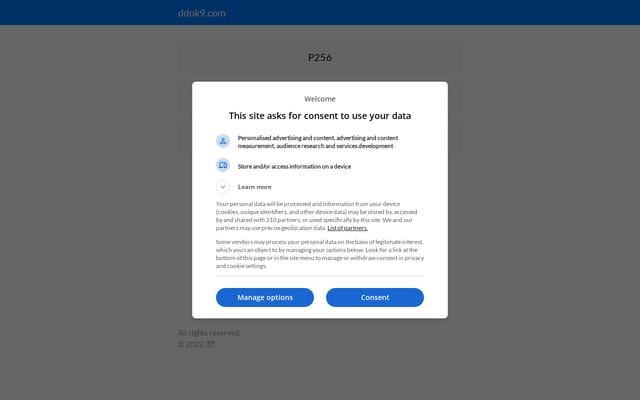 Screenshot of ddok9.com