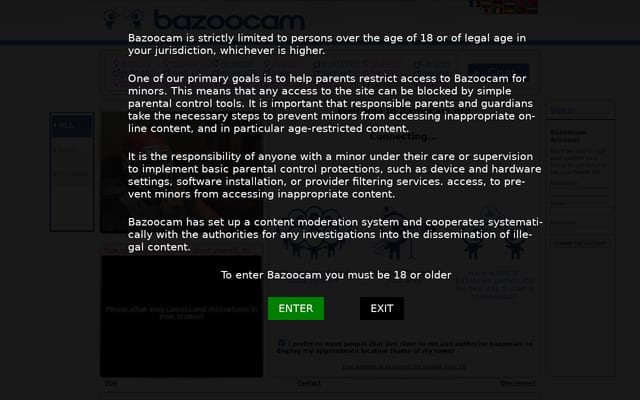Screenshot of bazoocam.org