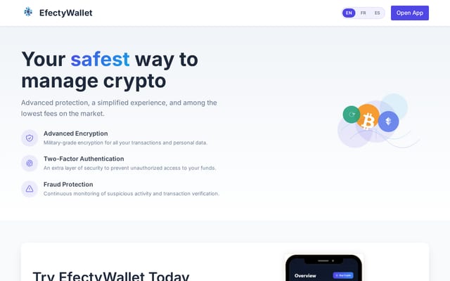 Screenshot of efectywallet.com