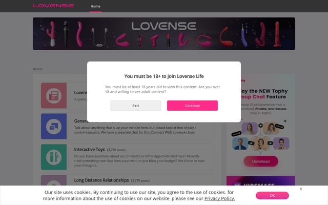 Screenshot of lovenselife.com